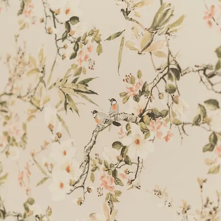 Daire Best 94 - Family Surf *